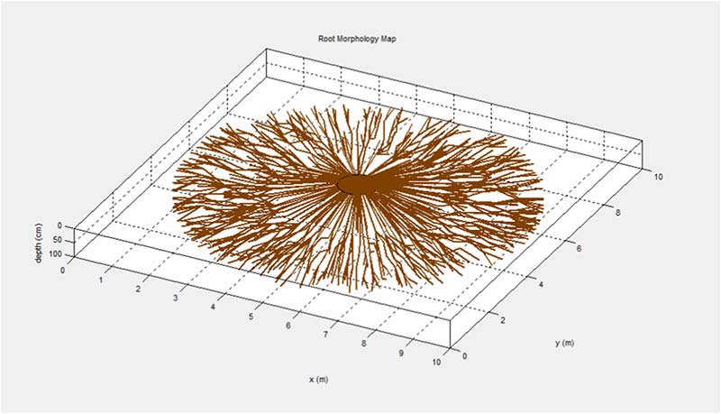 Tree Radar Software – Root Morphology Map