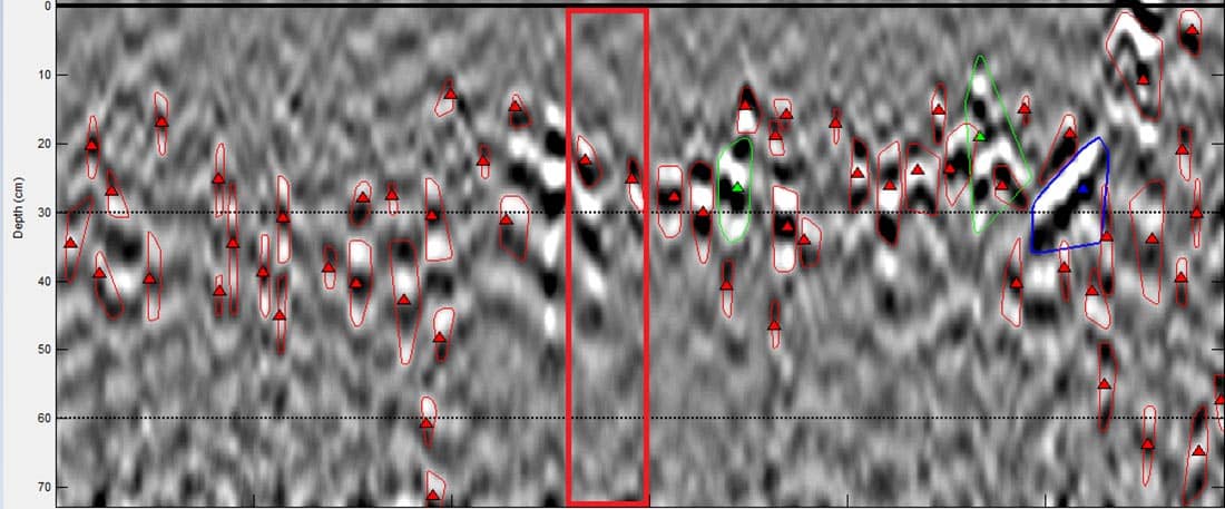Tree Radar Scan of Tree Roots