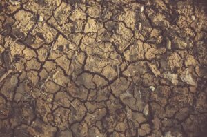 Soil Compaction